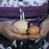 Ein riesengroßes Ei (22 cm Umfang) hat eine Henne von Erika Weigl aus Blossenau entdeckt. 