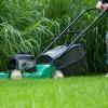 Rasen richtig pflegen: Am besten schneidet man mit dem Rasenmäher rund ein Drittel der Blattmasse ab.