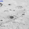 Mehrere eisige Krater auf der Oberfläche des Pluto sind auf den Aufnahmen zu sehen, die die Nasa am 5. Dezember veröffentlicht hat.