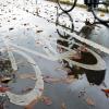 Achtung Rutschgefahr: Wer im Herbst und Winter auf zwei Rädern unterwegs ist, sollte auf nassem Herbstlaub besonders vorsichtig fahren.