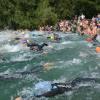 Rund 250 Teilnehmer werden am Sonntag zum Schwimmwettbewerb in Senden erwartet. Etwa 70 Helfer sorgen für einen sicheren Verlauf. 