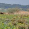 Der Baierner Flecken ist einer von fünf Hochwasserrückhaltebecken, das der Donaumoos-Zweckverband in den vergangenen 14 Jahren umsetzen konnte. 