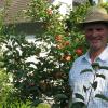 Arthur Ferber, der Vorsitzende des Gartenbauvereins Dinkelscherben, freut sich über eine reiche Obst- und Gemüse-Ernte.