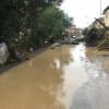 Entwurzelte Bäume liegen auf einer überfluteten Straße in Livorno. Nach den Unwettern sind mindestens sieben Menschen gestorben.