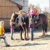 Auch Reitstunden und pferdegestützte Pädagogik werden in Ludenhausen angeboten.  