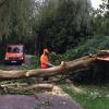 Dieser umgestürzte Baum im Singoldpark blockierte in Bobingen den Wiesangerweg nahe der Anicher Straße.