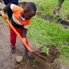 Auch er packt mit an: Der 5-jährige Tzuriel Kipngeno pflanzt in Nairobi einen Casaurina-Baum am Straßenrand.