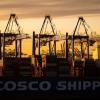 Ein Containerschiff der China Ocean Shipping Company (COSCO) wird am Hamburger Hafen entladen.