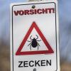 Achtung, Zecken-Gebiet: Der gesamte Süden Deutschlands gilt als FSME-Risikogebiet.