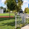 Weil es auf dem Sportgelände des Dossenberger-Gymnasiums in Günzburg immer mehr Vandalismus gibt, könnte das Areal künftig nicht mehr frei zugänglich sein. Die seit Mai getroffenen Maßnahmen zeigten keine Wirkung. Nun wird aus Haftungsgründen überlegt, das Gelände nach Schulschluss abzusperren. 