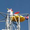 Seit ein paar Tagen sitzt auf dem Funkturm in Ziertheim auf dem Sportgelände dieses bunte, aufblasbare Einhorn. Wer es dort hochgeschleppt hat und warum? Das kann in Ziertheim niemand sagen.  	