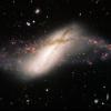 Die Ringgalaxie NGC 660 war 2012 bei Beobachtungen mit Teleskopen plötzlich mehrere hundert Mal heller geworden. Astronomen sehen die Ursache in einem erwachenden Schwarzen Loch.