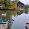 Das Gelände der Alten Mühle KIrchdorf bietet schöne Aussichten. Diese wollen die neuen Besitzer nutzen. 