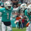 Die Miami Dolphins sicherten sich den letzten Playoff-Platz in der NFL.