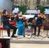 Das Casal-Quartett mit Felix Froschhammer (1. Violine), Rachel Späth (2. Violine), Markus Fleck (Viola) und Sebastian Braun (Cello) in der Amerdinger Kirche.