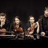 Das Armida-Quartett gestaltet einen Kammermusikabend im Festsaal des Stadttheaters Ingolstadt. Die jungen Musiker sind international als Gastdozenten gefragt, ihre Reisen gingen unter anderem auch nach Singapur. 	