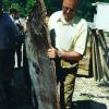 Zu dünn bemessen war die Sperrholzplatte vor der Kanalöffnung in der Donau. OB Hans Günter Huniar fischte sie aus einem Container.