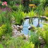 Für einen Gartenteich im eigenen Garten sollte man einen sonnigen Standort aussuchen, denn dort entwickelt sich eher eine üppige Pflanzen- und Tierwelt. 