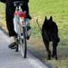 Ein Hundebesitzer hat auf einem Feldweg in Pfaffenhofen einen verdächtigen Fund gemacht. 