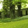 Jüdischer Friedhof: Der jüdische Friedhof in Binswangen wird am 4. September zu Führungen geöffnet werden. 