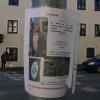 Auch auf Plakaten in Neuburg, wie das an dieser Litfaßsäule, wird um Hinweise auf das Verbleiben der vermissten Susanne T. gebeten.