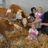 Stolz präsentieren sich Sonja und Michael Widemann mit ihren Kindern Hanna-Lena, Josefina und Sohn Lorenz zusammen mit den Drillingskälbern im neuen Stall bei Eresing. 