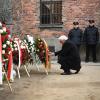 Bundespräsident Frank-Walter Steinmeier legt bei der Gedenkfeier zum 75. Jahrestag der Befreiung von Auschwitz einen Kranz nieder.
