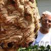 Sonja Schmid in Neusäß zeigt das Insektenhotel, in das die Wespen ihr Nest gebaut haben.