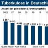 Anzahl der gemeldeten Erkrankungsfälle in Deutschland der letzten 10 Jahre.