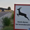 Trotz einer Plakataktion erreichte die Zahl der Wildunfälle im Donau-Ries-Kreis im vorigen Jahr einen Rekord.
