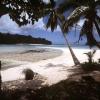 Mini-Tsunami auf den Salomonen - Verletzte Touristen