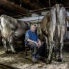 „Alle hier im Stall sind ganz Liebe. Wann immer ich Zeit habe, ratsche ich mit ihnen“: Kaspar Weber im Stall mit zwei seiner drei verbliebenen Milchkühe.