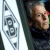 Soll Berichten zufolge zu Mönchengladbach zurückkehren: Trainer Lucien Favre.