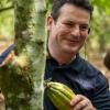 Bundesarbeitsminister Hubertus Heil erntet auf einer Kakaoplantage in Agboville an der Elfenbeinküste eine reife Kakao-Schote.