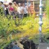 Beim Tag der offenen Gartentür kamen Hunderte Besucher nach Fleinhausen. Evi Madalenko Stuhler hat sich dort ein grünes Paradies geschaffen. Überall steht buntes Kunsthandwerk und im Teich schwimmen zwei Wasserschildkröten. 