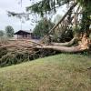 Eine Schneise der Verwüstung hinterließ ein Unwetter am Montag im Landkreis. Die größten Schäden gab es in Großaitingen, auch der Schwabmünchner Stadtteil Birkach war betroffen.