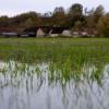 Wiesen bei Hemmendorf sind überschwemmt.