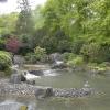 Im Botanischen Garten in Augsburg ist derzeit nicht viel los. Aber bald gibt es neue Pflanzen. Auch hier im Japangarten.