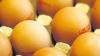 Eier mit Dioxin! „Nur wer über einen langen Zeitraum regelmäßig Dioxin aufnimmt, kann Langzeitschäden davon tragen.“Dr. Uta Kastner