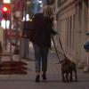 Eine Frau in Düsseldorf geht am Abend mit ihren Hunden spazieren.