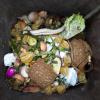 Wie lässt sich verhindern, dass Lebensmittel in der Mülltonne landen? Und was sagt das Mindesthaltbarkeitsdatum wirklich aus? Fachberaterin Andrea Danitschek klärt auf.