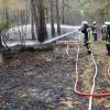 Immer wieder musste die Feuerwehr in den vergangenen Jahren im Augsburger Stadtwald Brände löschen.