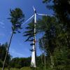 In einem Wald bei Bad Wörishofen soll ein Windpark entstehen. Die Vorarbeiten schreiten voran. 