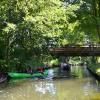 Den Spreewald durchzieht ein verästeltes Netz kleiner Kanäle: Knapp 300 Kilometer davon sind mit Booten befahrbar.