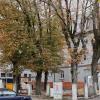 Kastanien im Biergarten eines Lokals an der Rosenaustraße sind wohl durch ein Bauvorhaben gefährdet. Die Stadt hat die Arbeiten eingestellt.