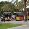 Strenge und ungewöhnliche Regeln gelten nun bei Busfahrten auf Mallorca.
