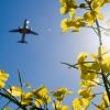 Ein Flugzeug fliegt über einem Rapsfeld: Die Grünen fordern einen Preis für den Ausstoß von Kohlendioxid auf EU-Ebene. 	 