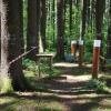 Die Waldklimastation ist eine Besonderheit des Höglwalds. Hierhin und zu acht weiteren interessanten Stationen soll der neue Erlebnispfad führen. 