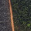 Brandrodung für den Anbau zerstört viele Wälder in Süd- und Mittelamerika