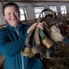 Dürfen ihre Kühe weiter Glocken tragen? Am Tag und in der Nacht? Milchbäuerin Regina Killer präsentiert ein paar Kuhglocken in ihrem Viehstall in Holzkirchen.